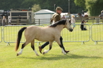 SBM_00555