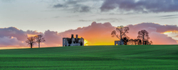 #66 Rathcoffey Castle