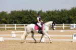 SBM_004203