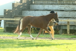 SBM_57404