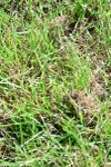 SBM_11480