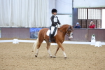 SBM_004187