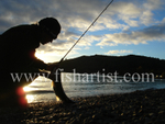 Dawn Caught Trout.