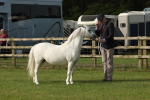 SBM_00531