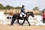 SBM_03533