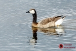 190322-untitled-1L4A0358