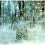 Norwegian Wood