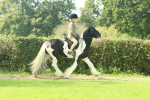 SBM_67471