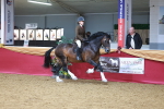 SBM_06022