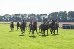 020825-Race 8-Dandy Dinmont-3880