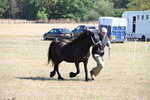 WJ6_4656