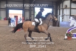 BPP_2541