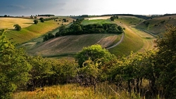 Wolds Valley