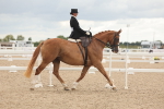 SBM_06406