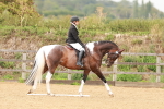SBM_001905