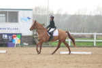 SBM_003339