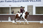 SBM_002393