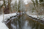 River Frome, Dorchester, Dorset