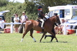 Class 20: Tiny Tots Working Hunter Pony portfolio