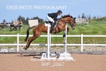 BPP_2067