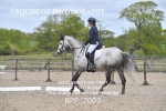 BPP_7003
