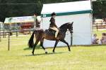 SBM_15774