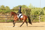 SBM_000480