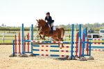 SBM_000981
