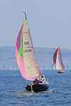 180707 TUDOR ROSE GBR1380R 1Y3A0213_Edit