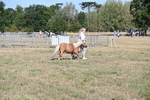 WJ6_7246