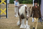 WJ6_8043