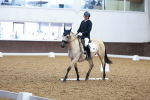 SBM_000529