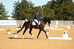 SBM_16544