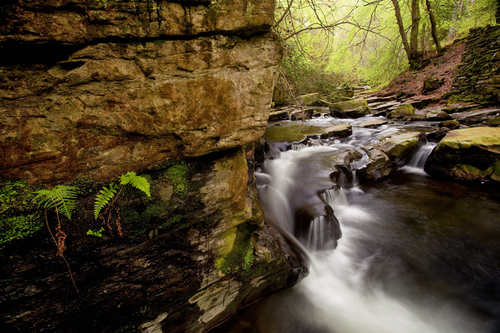 An early morning at the wonderful Ballaglass Glen.