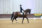 SBM_007031