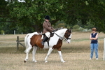 WJ7_4647