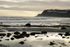  WILD SEA RHB