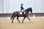 Class 5 - Novice 6 - 9.30-10.33 portfolio