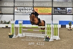BPP_4222