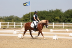 SBM_004310