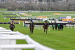 240126-Race 6-The New Lion-7445