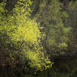 April, 2017 #14 - Norfolk County