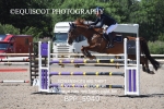BPP_5949