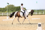 SBM_010128