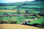 Cullompton, Devon portfolio