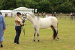 SBM_04060