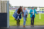 230824-Race 4-Bradsell-8430