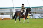 SBM_00963
