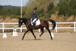 SBM_013490