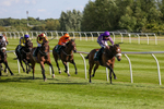 080624-Race 6-Tatterstall-4991